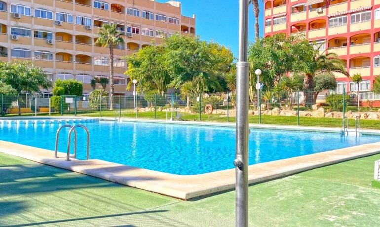 Sale - Apartment / Flat -
Torrevieja* - La Mata*