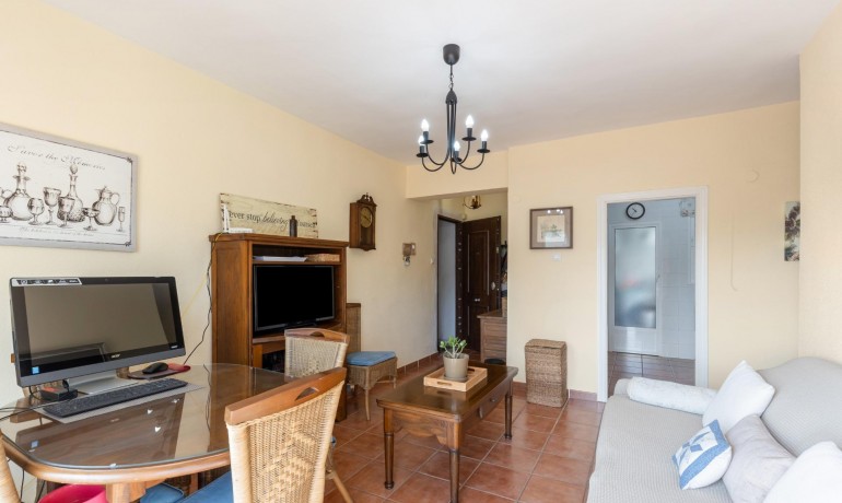 Herverkoop - Appartement / Flat -
Torrevieja - Estacion de autobuses