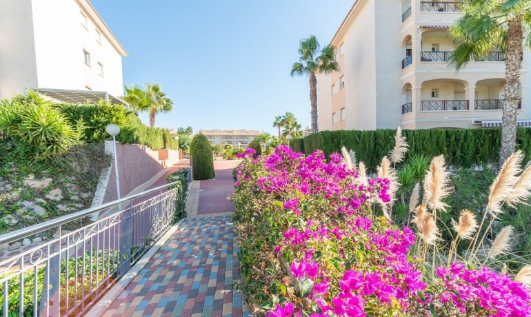 Revente - Appartement / Flat -
Orihuela Costa* - Playa Flamenca*