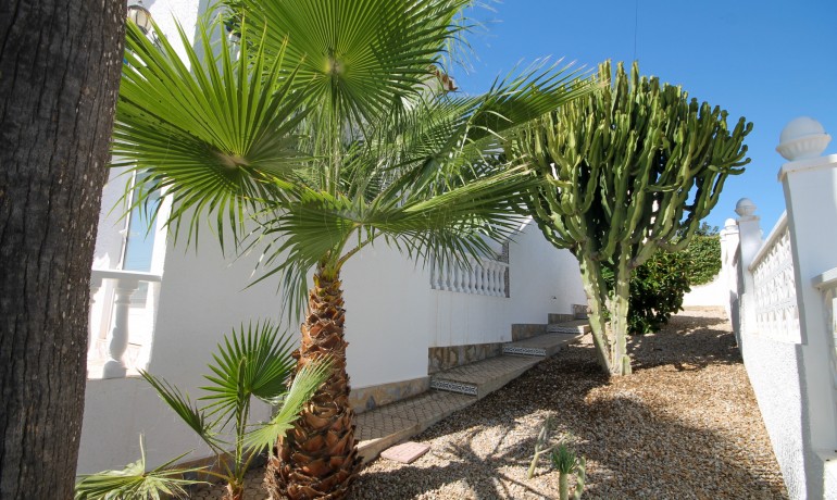 Sale - Villa -
San Miguel de Salinas - San Miguel de Salinas Alicante