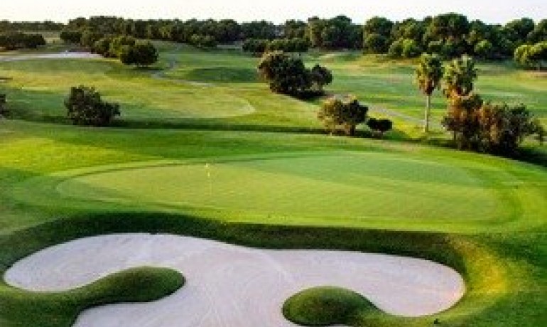 Nieuwbouw - Villa -
Pilar de la Horadada* - Lo Romero Golf*