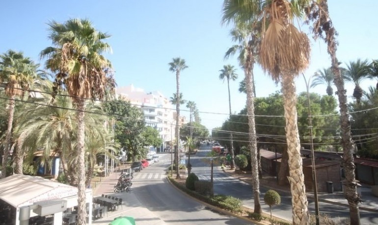 Venta - Apartamento / piso -
