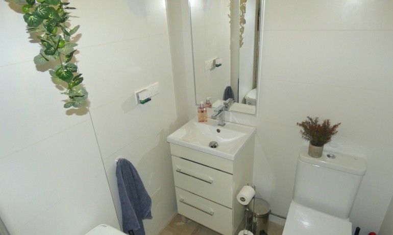 Venta - Apartamento / piso -
