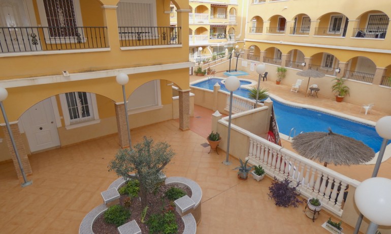 Venta - Apartamento / piso -
