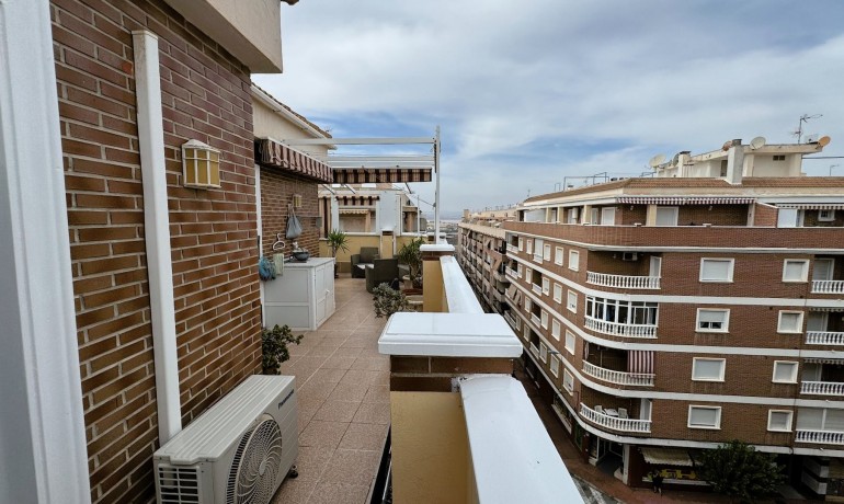 Revente - Appartement / Flat -
Torrevieja*