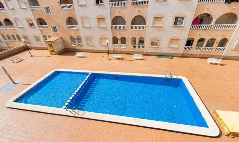 Venta - Apartamento / piso -
