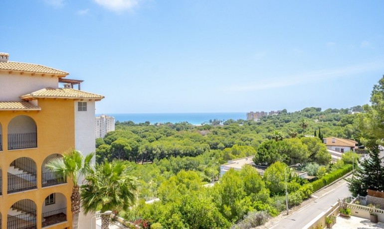 Herverkoop - Penthouse -
Orihuela Costa* - Campoamor