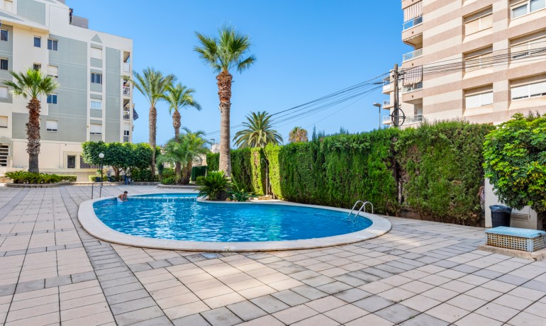 Revente - Appartement / Flat -
Torrevieja* - Torrevieja