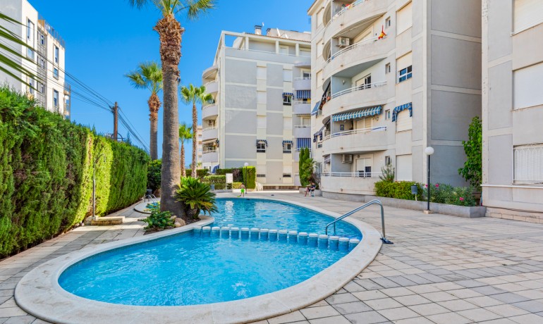 Revente - Appartement / Flat -
Torrevieja* - Torrevieja