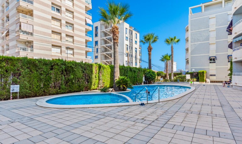 Herverkoop - Appartement / Flat -
Torrevieja* - Torrevieja