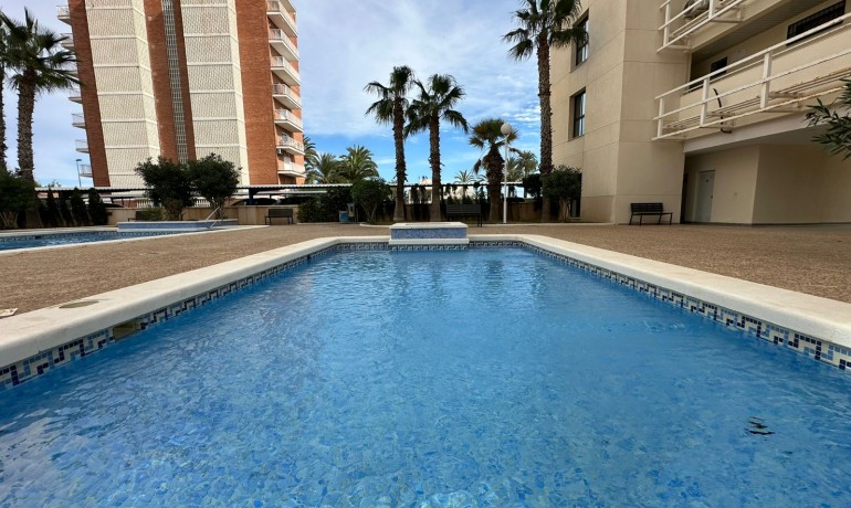 Sale - Apartment / Flat -
Torrevieja* - La Veleta