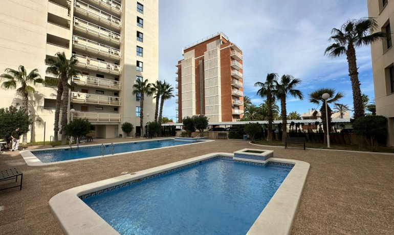 Revente - Penthouse -
Torrevieja* - La Veleta