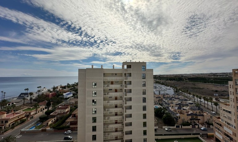 Herverkoop - Appartement / Flat -
Torrevieja* - La Veleta