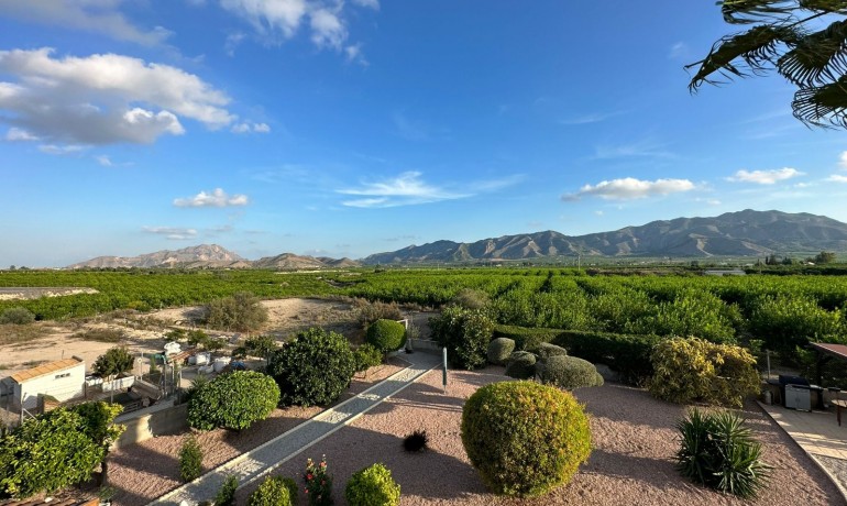 Revente - Finca / Propriété de campagne -
La Matanza