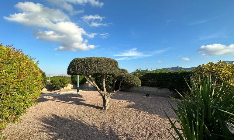 Revente - Finca / Propriété de campagne -
La Matanza