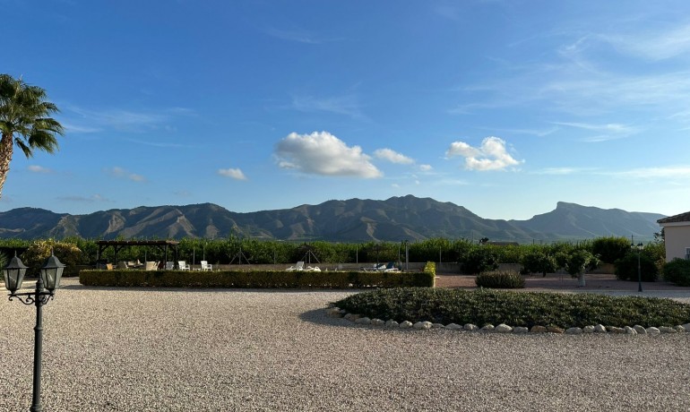 Revente - Finca / Propriété de campagne -
La Matanza