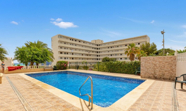 Herverkoop - Penthouse -
Torrevieja* - Torre la mata