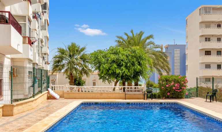 Herverkoop - Penthouse -
Torrevieja* - Torre la mata