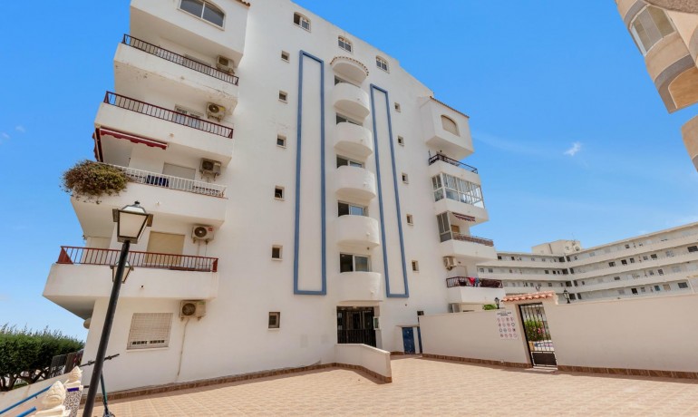 Revente - Penthouse -
Torrevieja* - Torre la mata