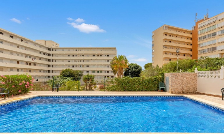 Sale - Penthouse -
Torrevieja* - Torre la mata