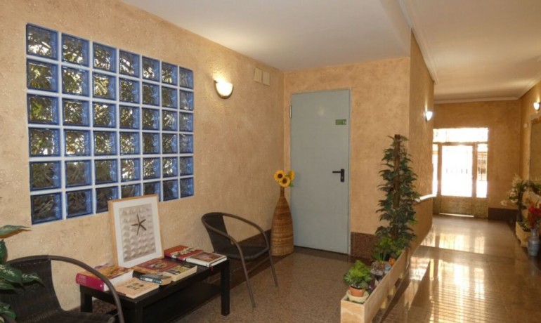 Sale - Apartment / Flat -
Algorfa* - Algorfa