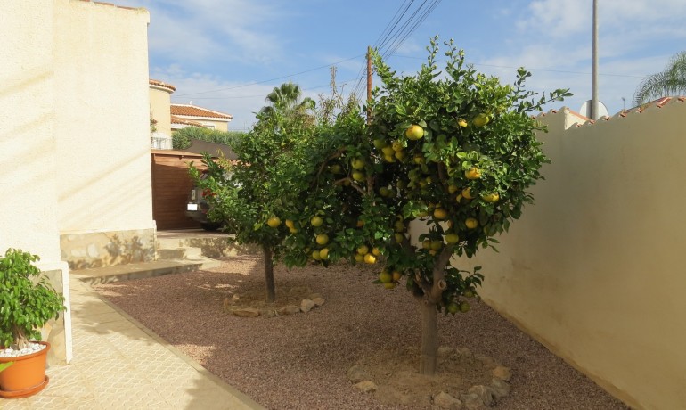 Revente - Villa -
Cuidad Quesada* - Ciudad Quesada