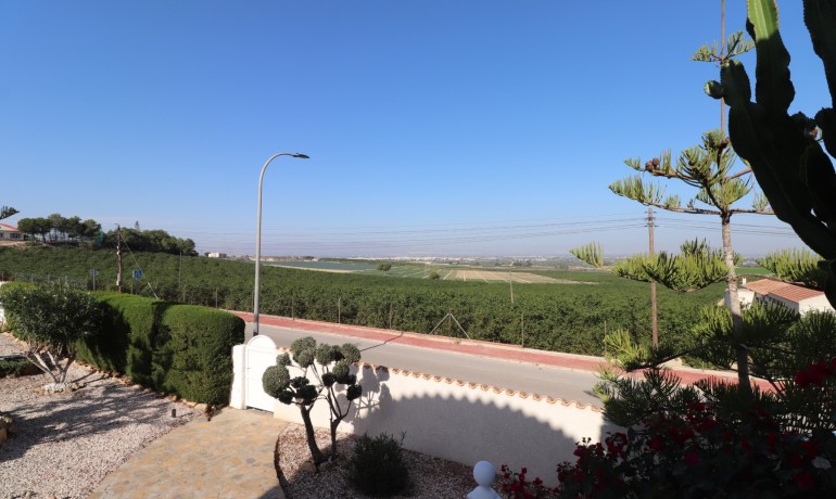 Venta - Villa -
Algorfa - Lomas de La Juliana