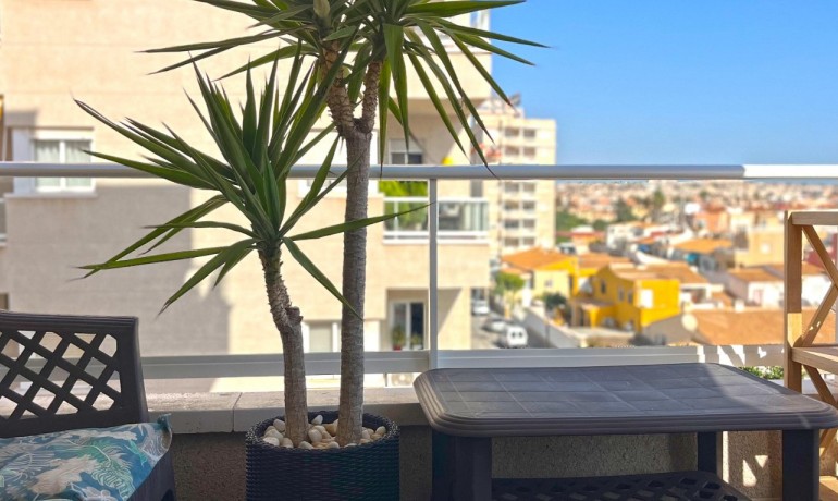 Herverkoop - Appartement / Flat -
Torrevieja* - Torrevieja