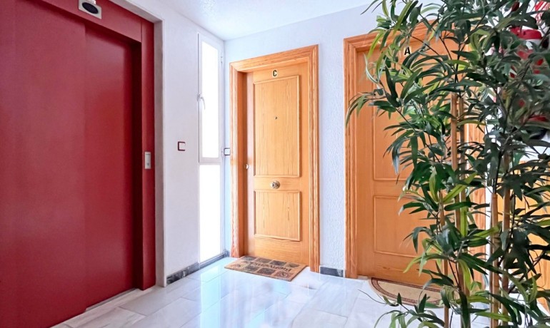 Herverkoop - Appartement / Flat -
Torrevieja* - Torrevieja