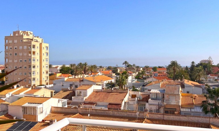 Herverkoop - Appartement / Flat -
Torrevieja* - Torrevieja