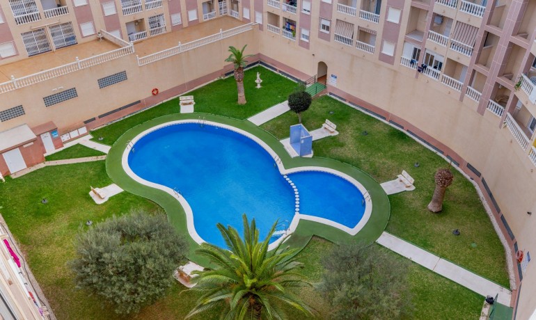 Herverkoop - Appartement / Flat -
Torrevieja* - Parque las naciones