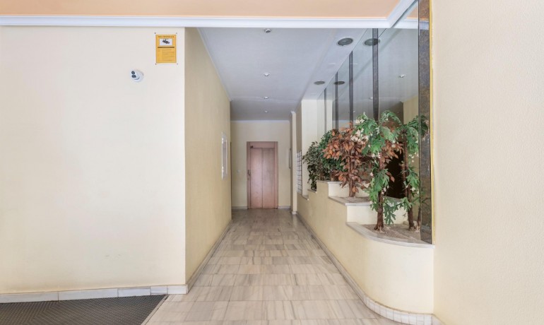 Revente - Appartement / Flat -
Torrevieja* - Playa del cura