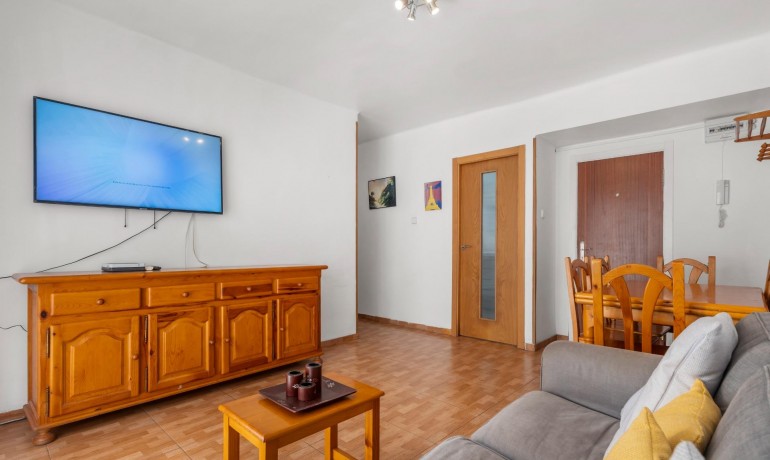 Venta - Apartamento / piso -
Torrevieja - Estacion de autobuses