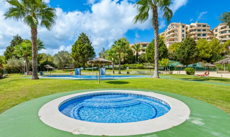 Sale - Apartment / Flat -
Campoamor