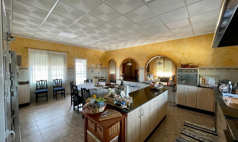 Sale - Villa -
Albatera