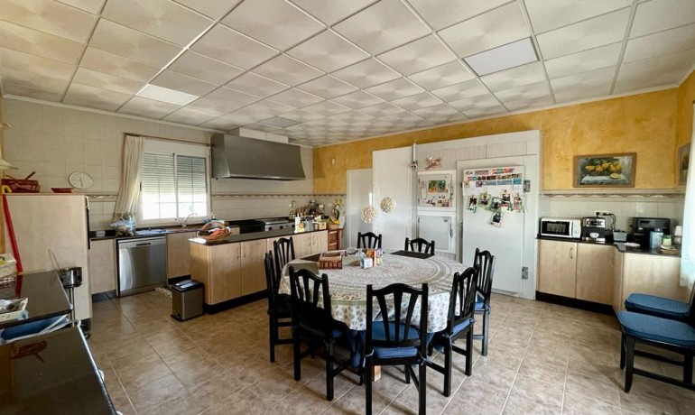 Sale - Villa -
Albatera