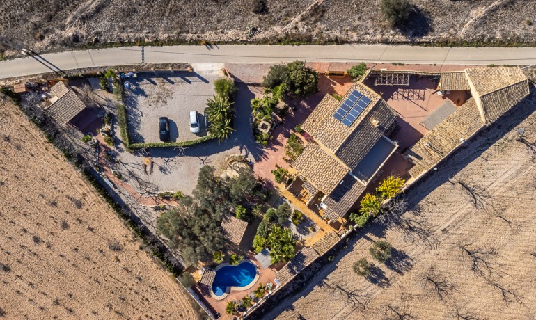 Herverkoop - Reclame -
Hondón de las Nieves