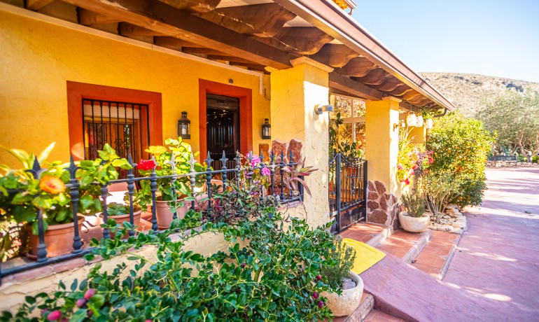 Herverkoop - Reclame -
Hondón de las Nieves