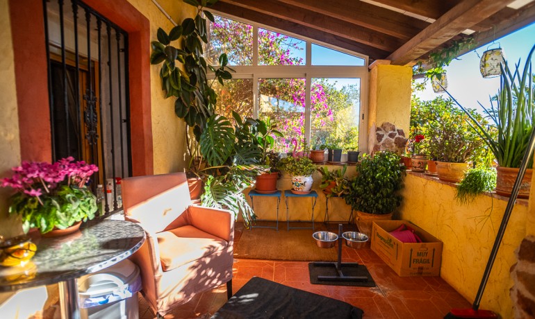 Herverkoop - Reclame -
Hondón de las Nieves