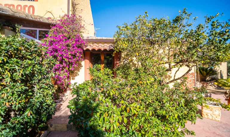 Herverkoop - Reclame -
Hondón de las Nieves