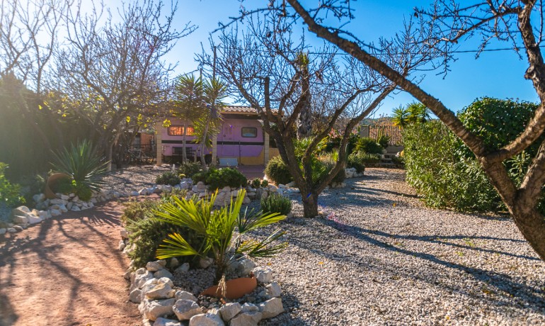 Herverkoop - Reclame -
Hondón de las Nieves