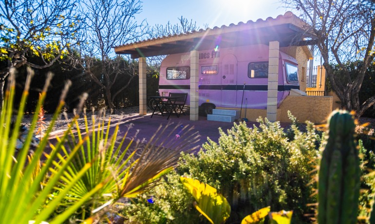 Herverkoop - Reclame -
Hondón de las Nieves