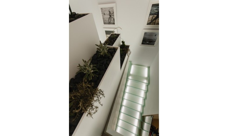 Sale - House -
San Miguel de Salinas* - San Miguel De Salinas