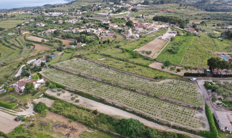 Herverkoop - Huis -
Benimarco