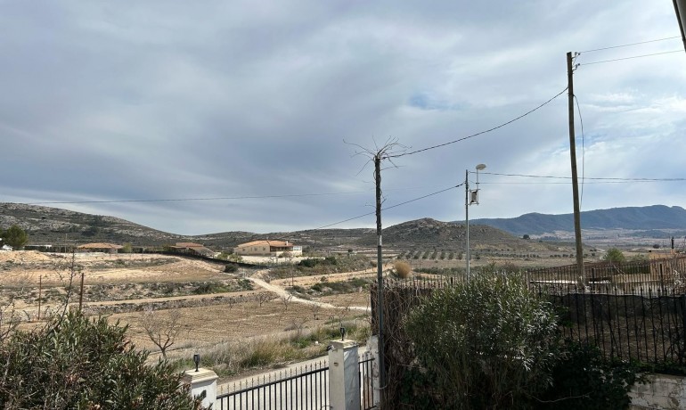 Venta - Finca -
Torre Del Rico