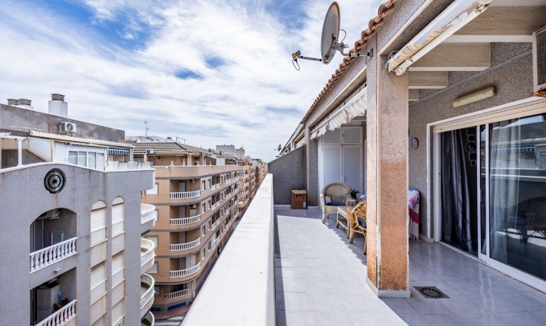 Venta - Apartamento / piso -
Torrevieja Centro - Torrevieja