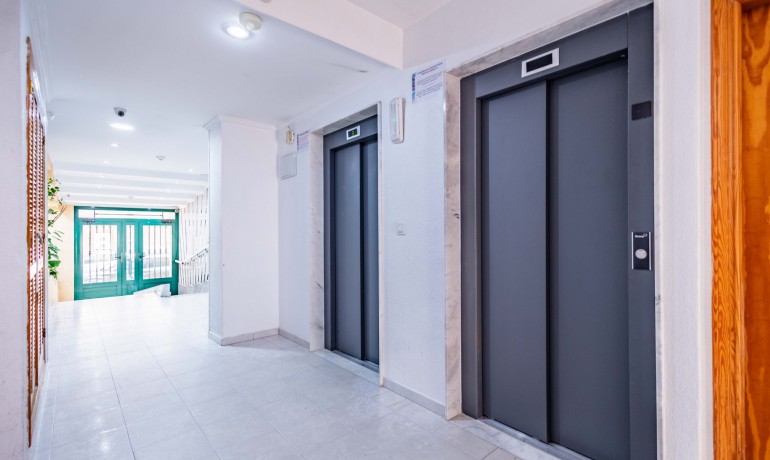 Venta - Apartamento / piso -
Torrevieja Centro - Torrevieja