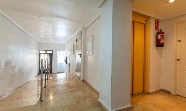 Herverkoop - Appartement / Flat -
Torrevieja* - Torrevieja