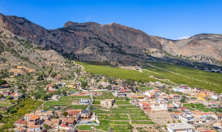 Venta - Finca -
Orihuela