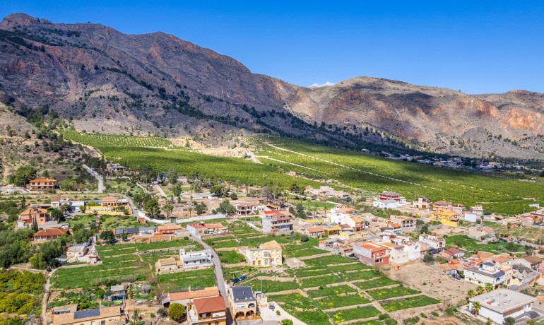 Venta - Finca -
Orihuela